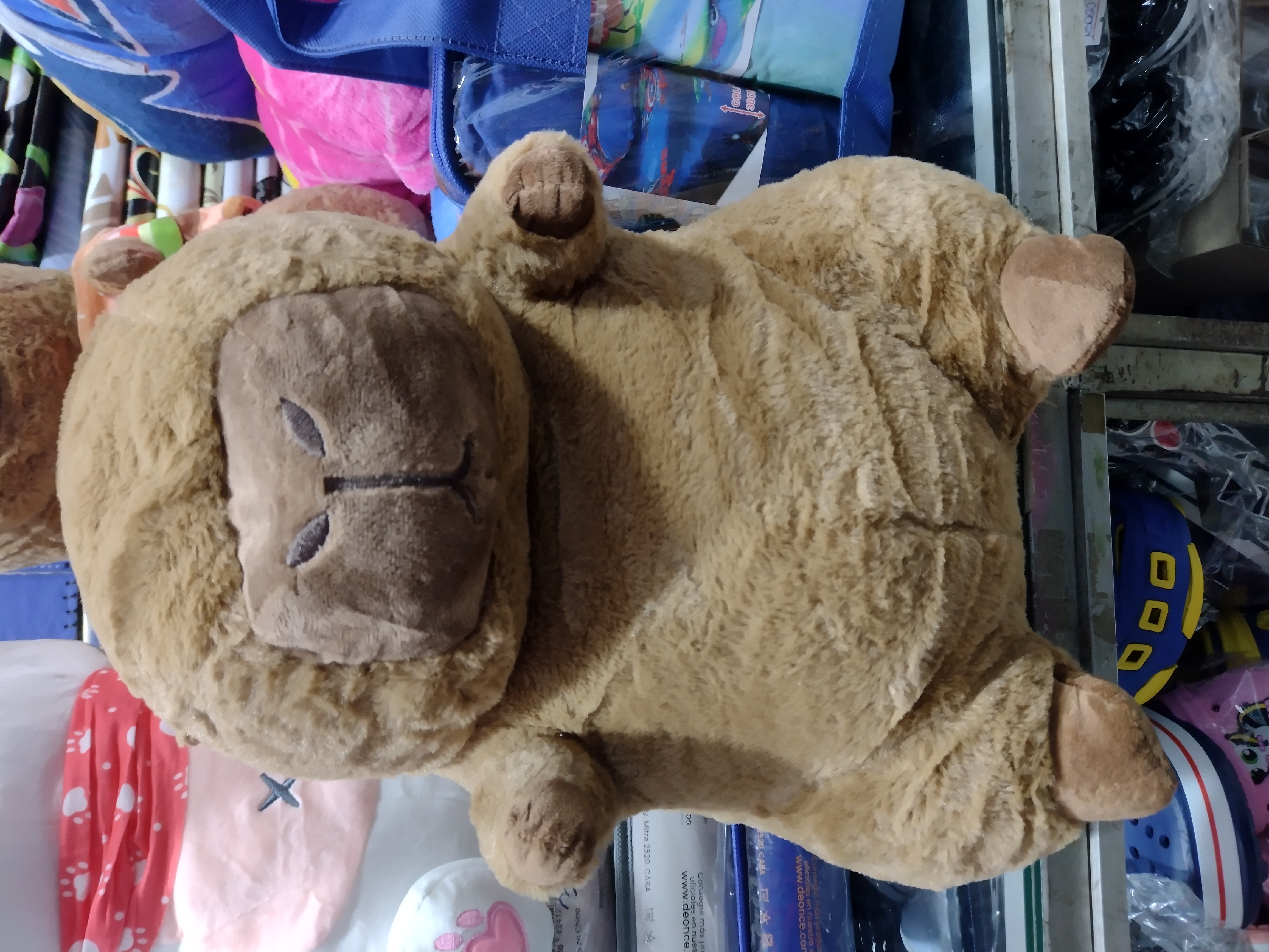 Capibara